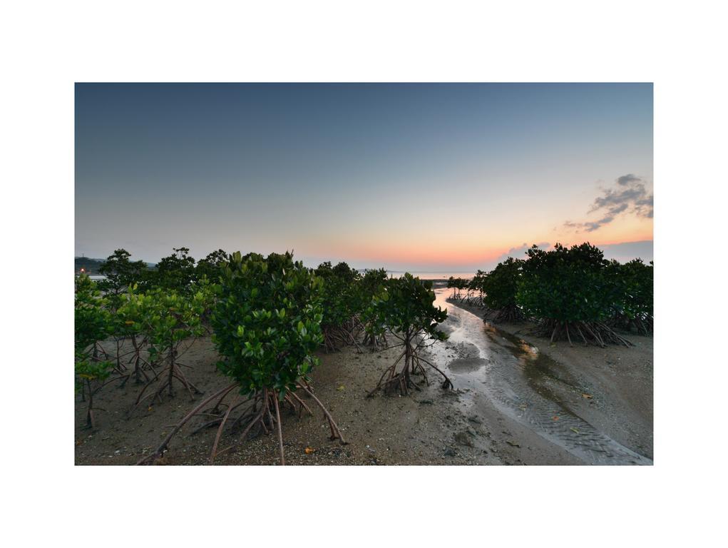 Oceanview Yui Hotel Ishigaki  Екстериор снимка